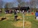 OSTERN02_06