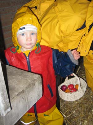 IMG_0088