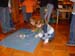 DSC00950